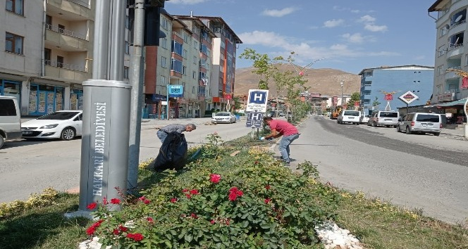 Belediye ekiplerinden ot biçme seferberliği