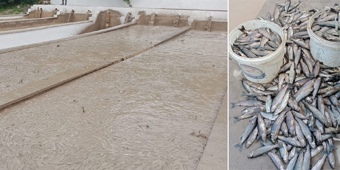 Sel Hakkari'de balık tesisini vurdu