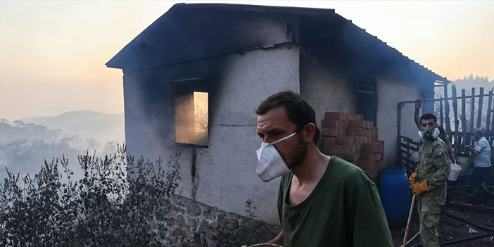 HAYTAP'tan hayvanlar için destek çağrısı