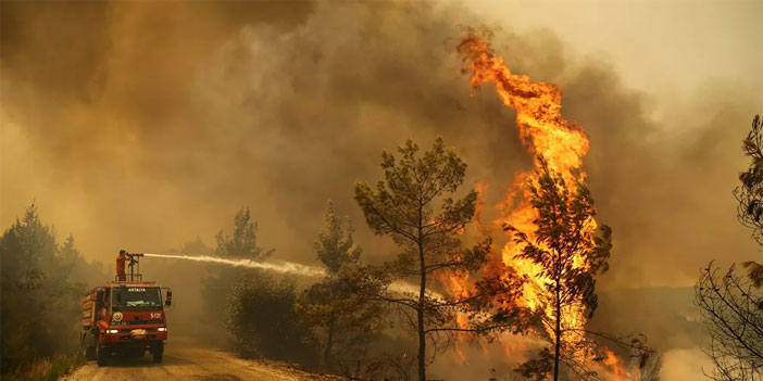 Türkiye'de yangınlarda son durum