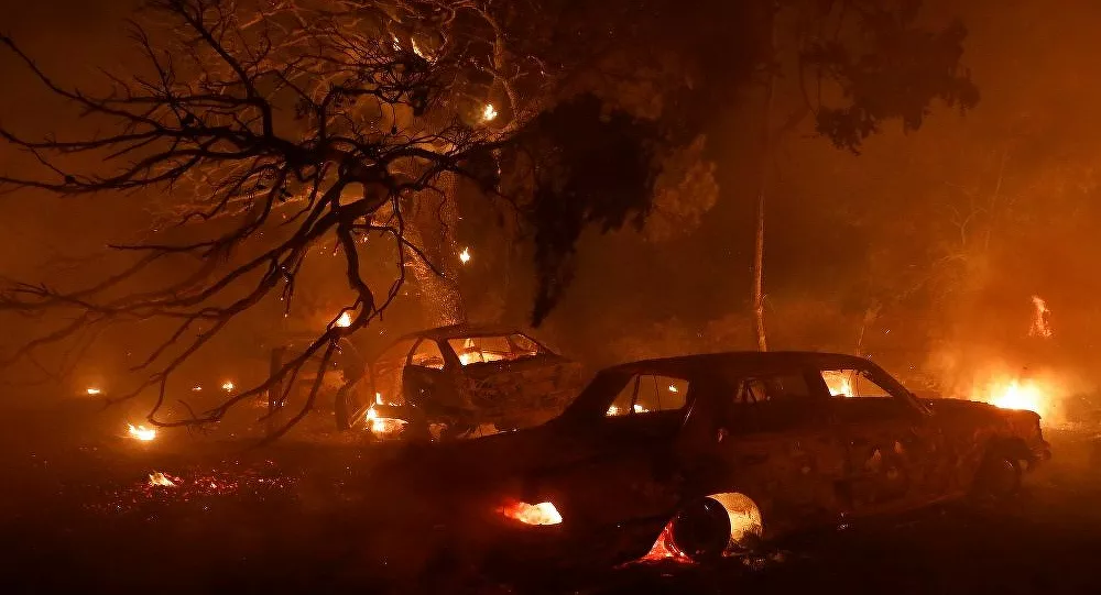 Yunanistan'ın başkenti Atina yakınlarında orman yangını