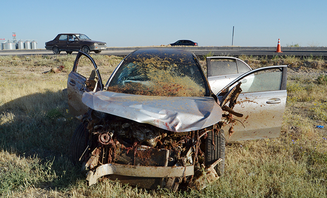 Otomobil, koyun sürüsüne daldı; Çoban öldü, 2 kişi yaralandı