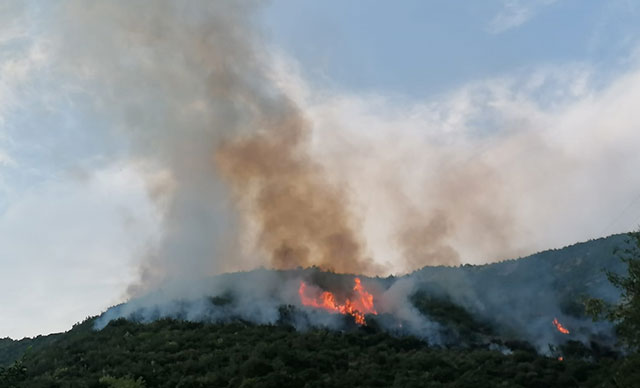 Osmaniye’de orman yangını