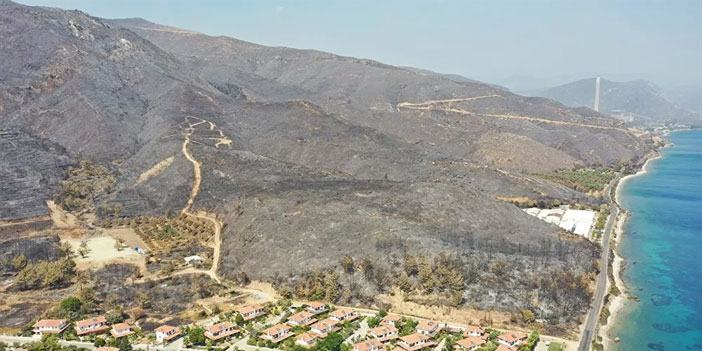 Yangınla mücadelede son durum: Muğla'da 5 yangına müdahale devam ediyor