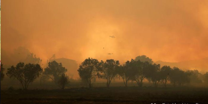 Pakdemirli: Muğla'daki beş yangın sürüyor
