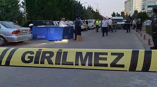 Miras tartışmasında kardeşini öldürdü