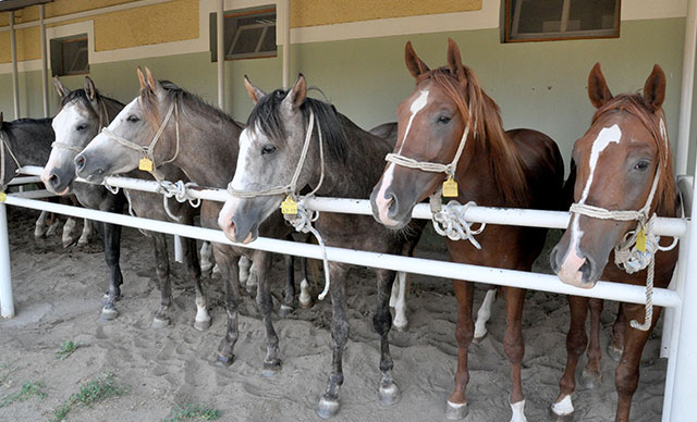 8,5 milyon TL'ye satıldı