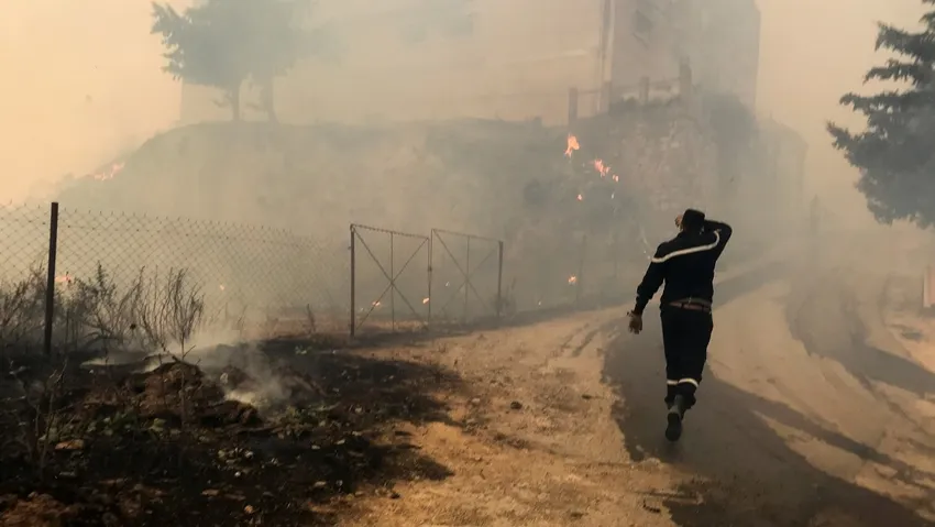 Cezayir'de yangın 42 can aldı