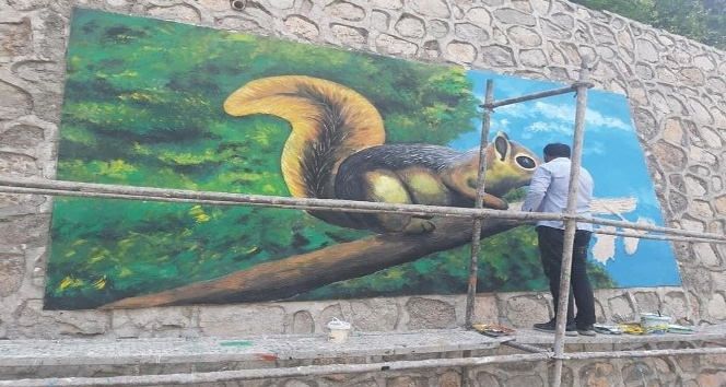 Çukurca ilçesine yapılan resimler göz kamaştırıyor