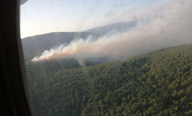 Çeşme'de orman yangını