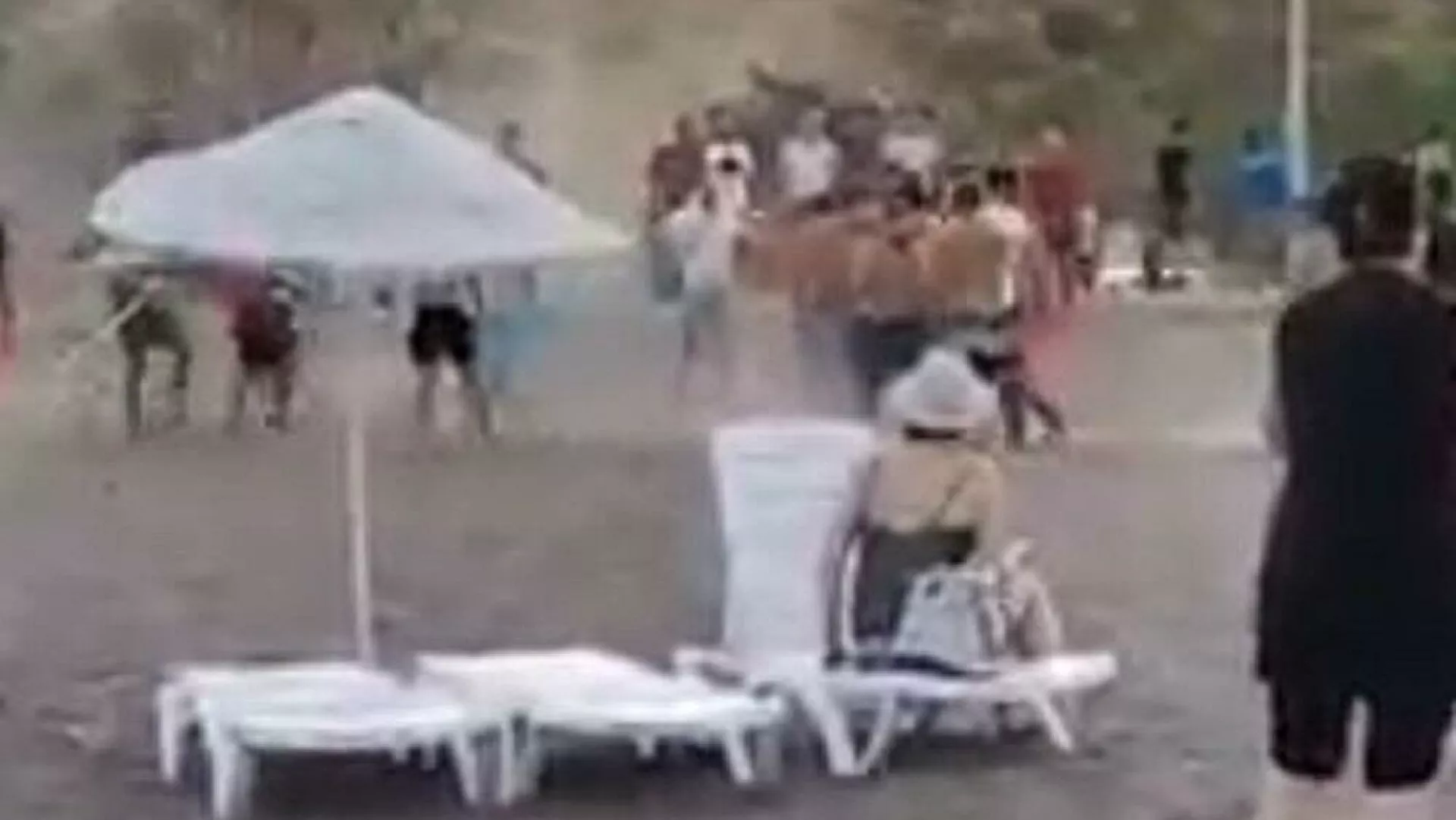 Sahilde tekmeli sopalı kavga