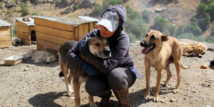 Öğretmen Eda, sokak köpekleri için tayini reddetti