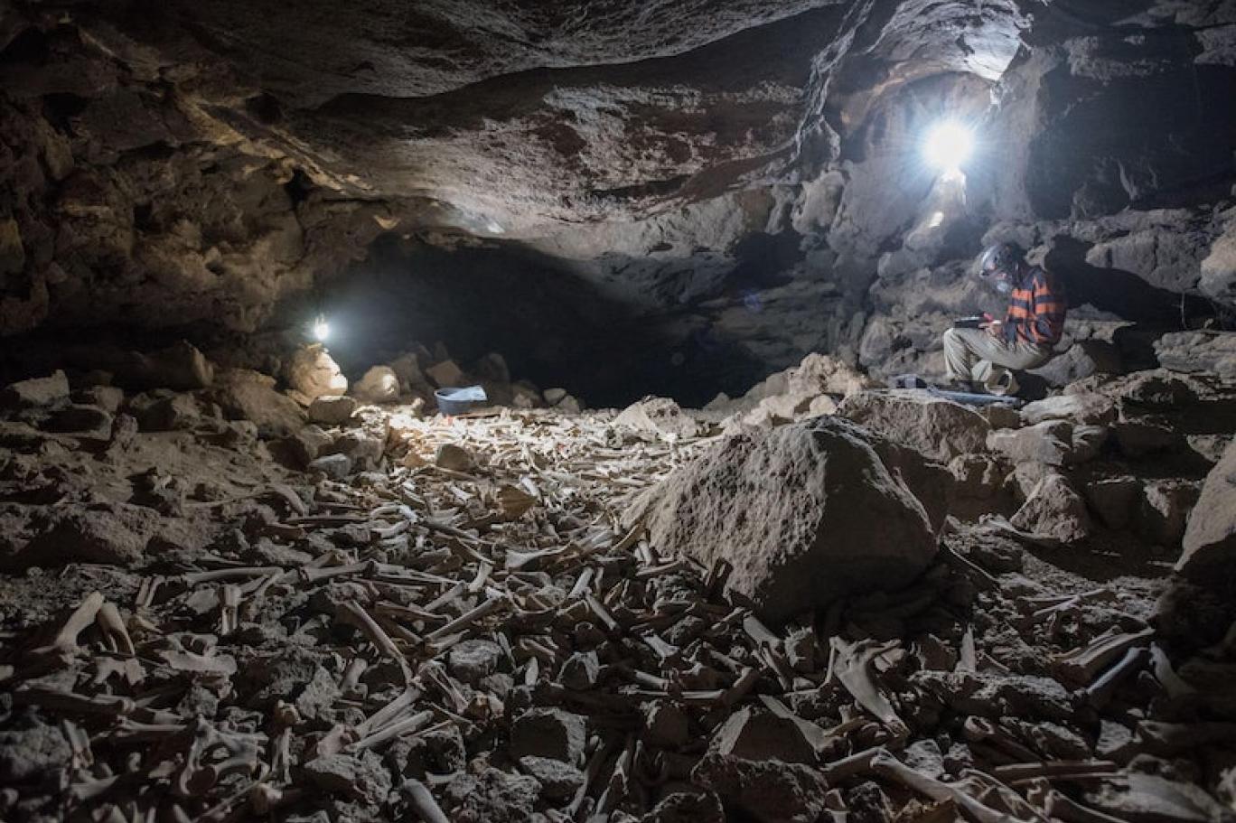 Arabistan'daki bir lav tünelinde yüz binlerce kemik bulundu