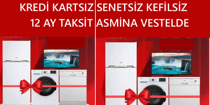 Vestel kazandırmaya devam ediyor