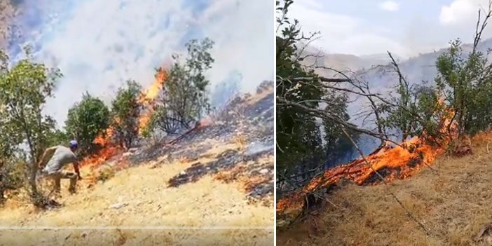 Şemdinli'deki yangın yeniden başladı