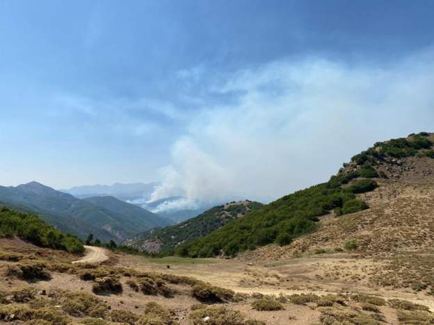 11 gündür devam ediyor