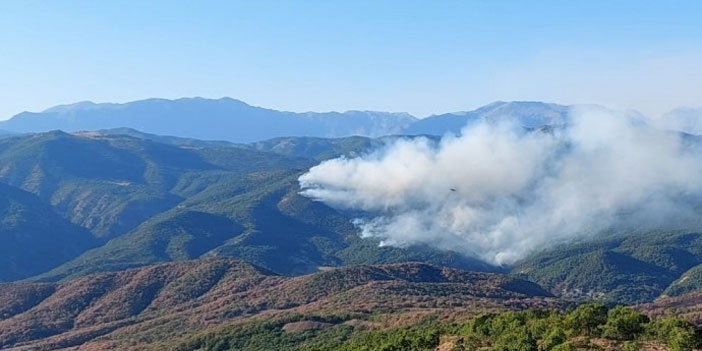 74 barodan çağrı: Yangına müdahale edin