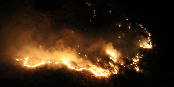 Şemdinli’de çıkan orman yangınına müdahale ediliyor