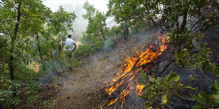 Şemdinli’deki orman yangını kısmi olarak kontrol altına alındı