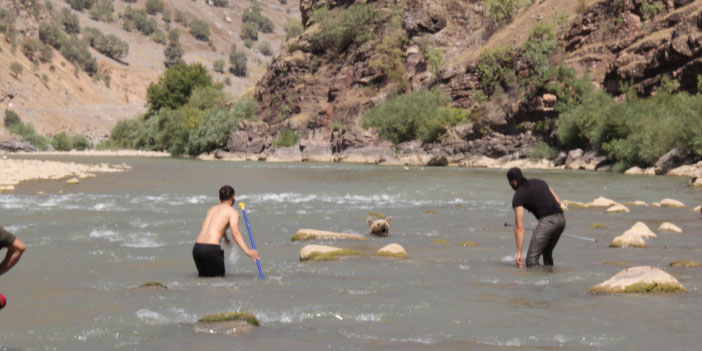 Türkiye'nin konuştuğu yaralı ayı görüntüleri Hakkari Objektif Haberde