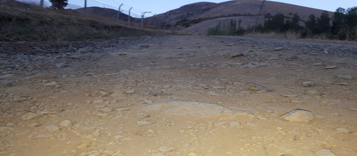 Hoş geldiniz güle güle Valim