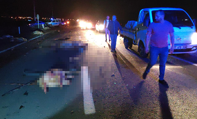 Minibüs koyun sürüsüne çarptı: 6 yaralı, 34 koyun telef oldu