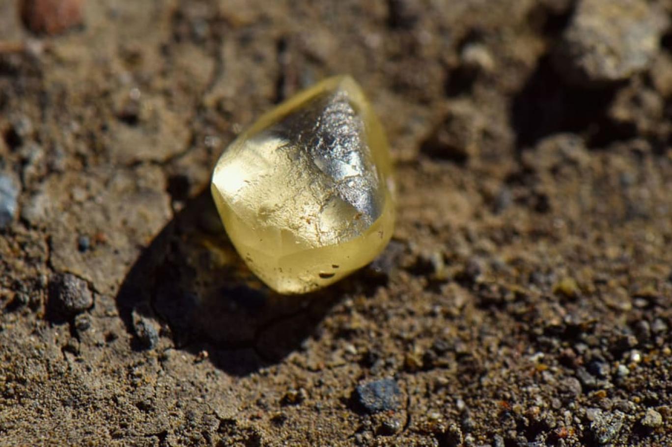 Parkta dolaşırken 4,38 karatlık elmas buldular