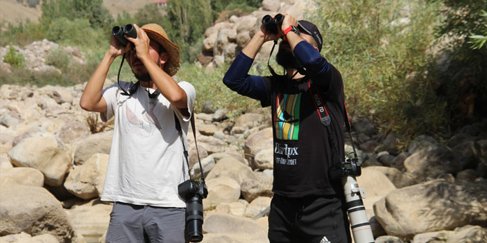Hakkari'de görülen kuş türleri gözlemcileri heyecanlandırdı