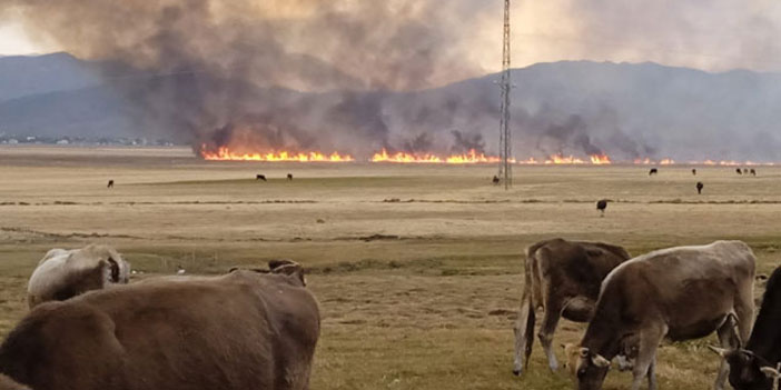 Nehil Sazlığı'ndaki yangın kontrol altına alındı