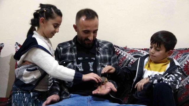Evine aldığı yavru sincabı biberonla besliyor