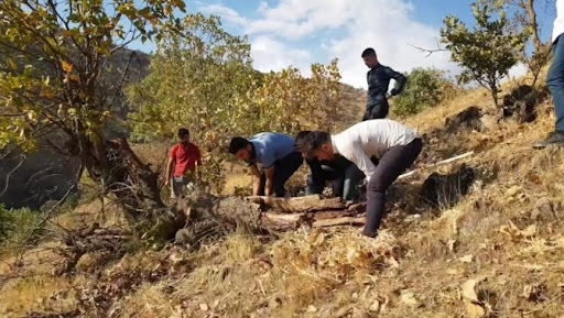 Derecik'te İmece usulü ile kış hazırlığı