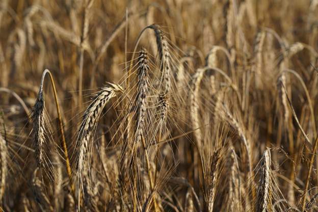Pakdemirli'den destek açıklaması