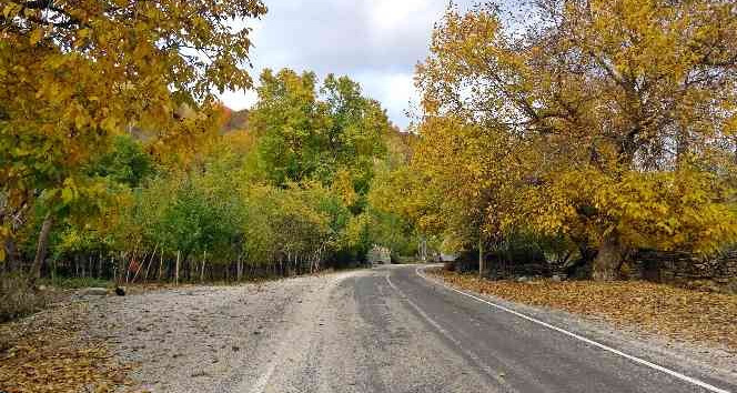 Yüksekova'da sonbahar güzelliği