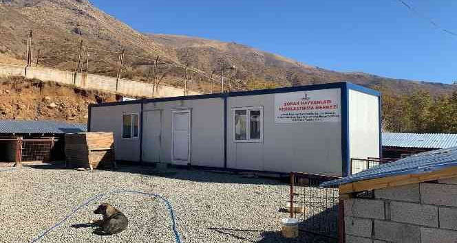 Şemdinli Belediyesinden sokak hayvanlarını kısışlaştırma çalışması