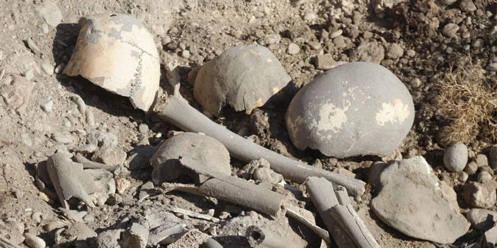 Van Gölü kıyısında Demir Çağı'na ait insan kemikleri bulundu