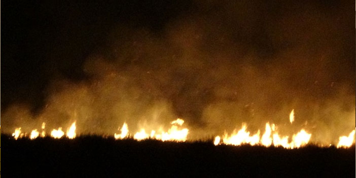 Yüksekova'da Nehil Sazlığı tekrar alev aldı