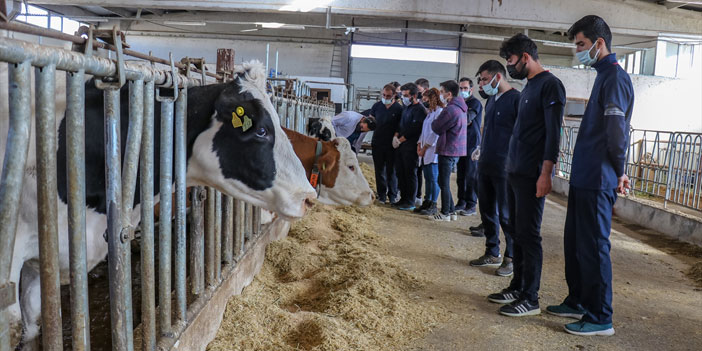 Profesyonel çiftçiler yetiştirilecek