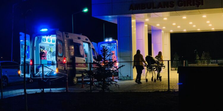 Van’da bir kadın katledildi