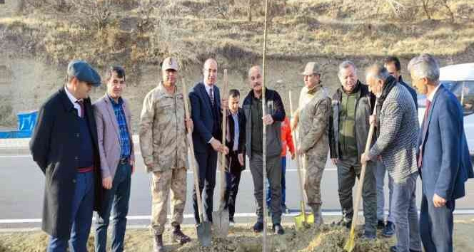 Esendere Belediyesi 500 fidan dikti