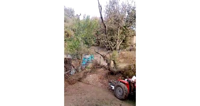 Kestikleri ağaç az daha sonları oluyordu