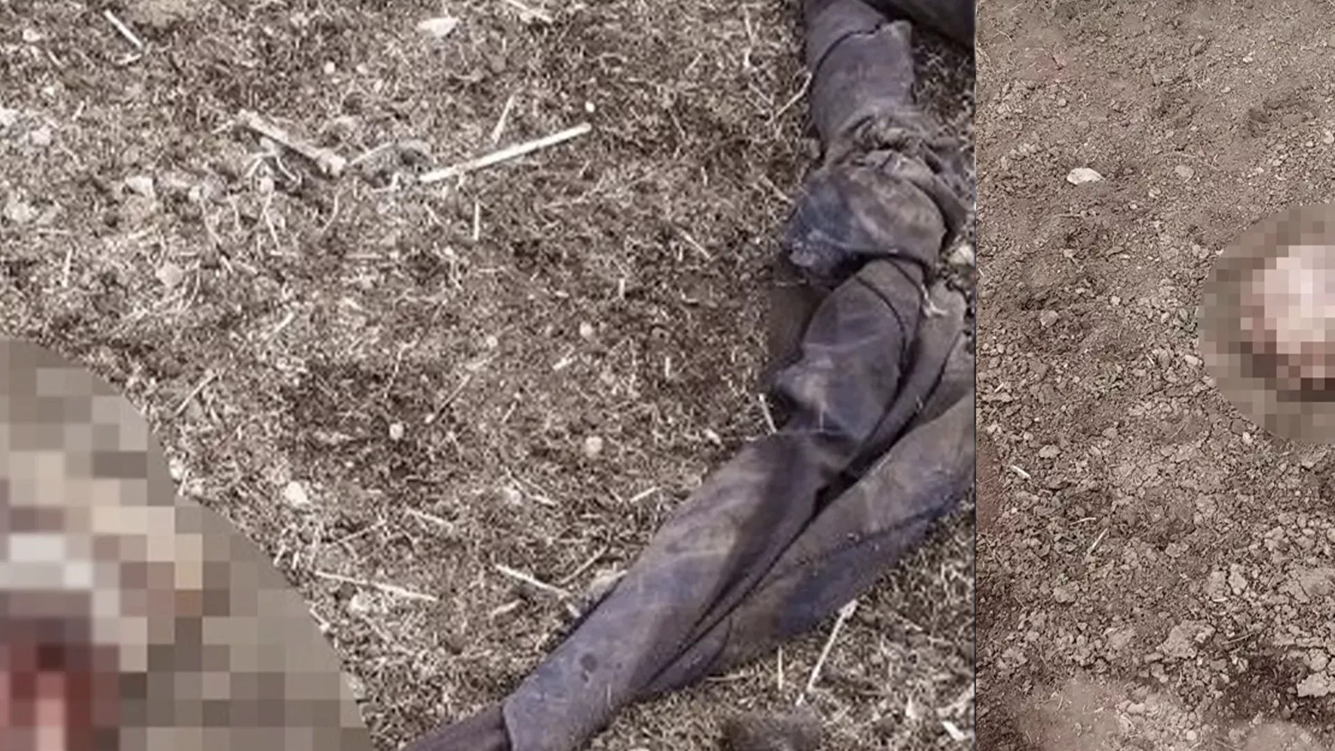 Van'ın İran sınırında parçalanmış ceset bulundu