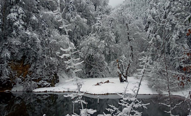 Doğa yürüyüşünde üzerine ağaç parçası düştü, hastanede öldü