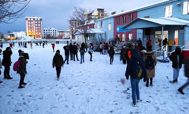 Van Merkeze yılın ilk karı düştü