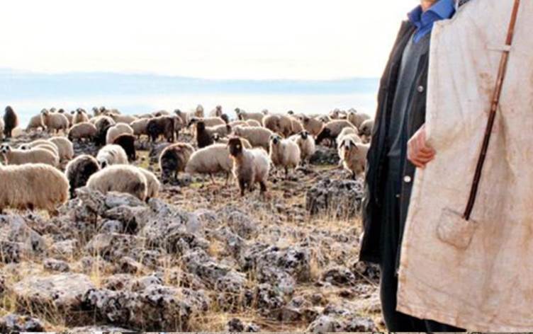 Kayalıklardan düşen çoban hayatını kaybetti