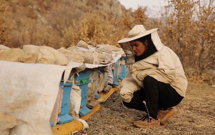 Hakkarili Hacer öğretmenliği bırakıp arıcılığa başladı