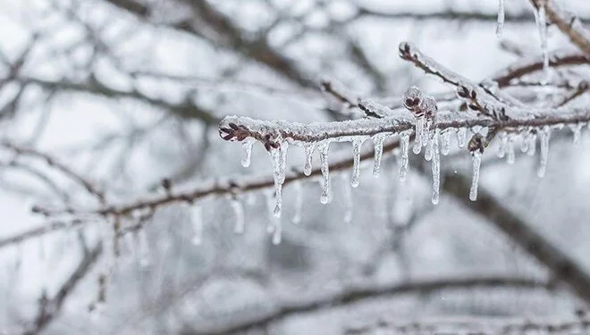 Hakkari ve 3 il için, çığ, don ve buzlanma uyarısı