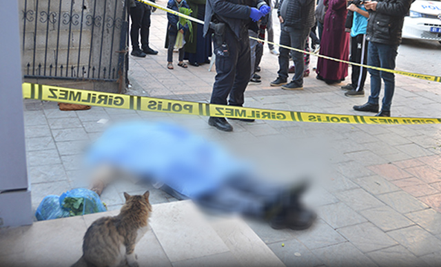 Alışveriş yaparken kalbine yenildi; sokak kedisi başında bekledi