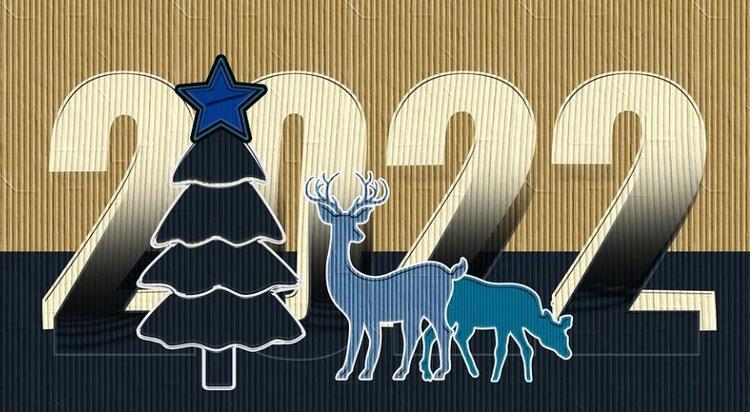 Geliyor koca bir yıl!