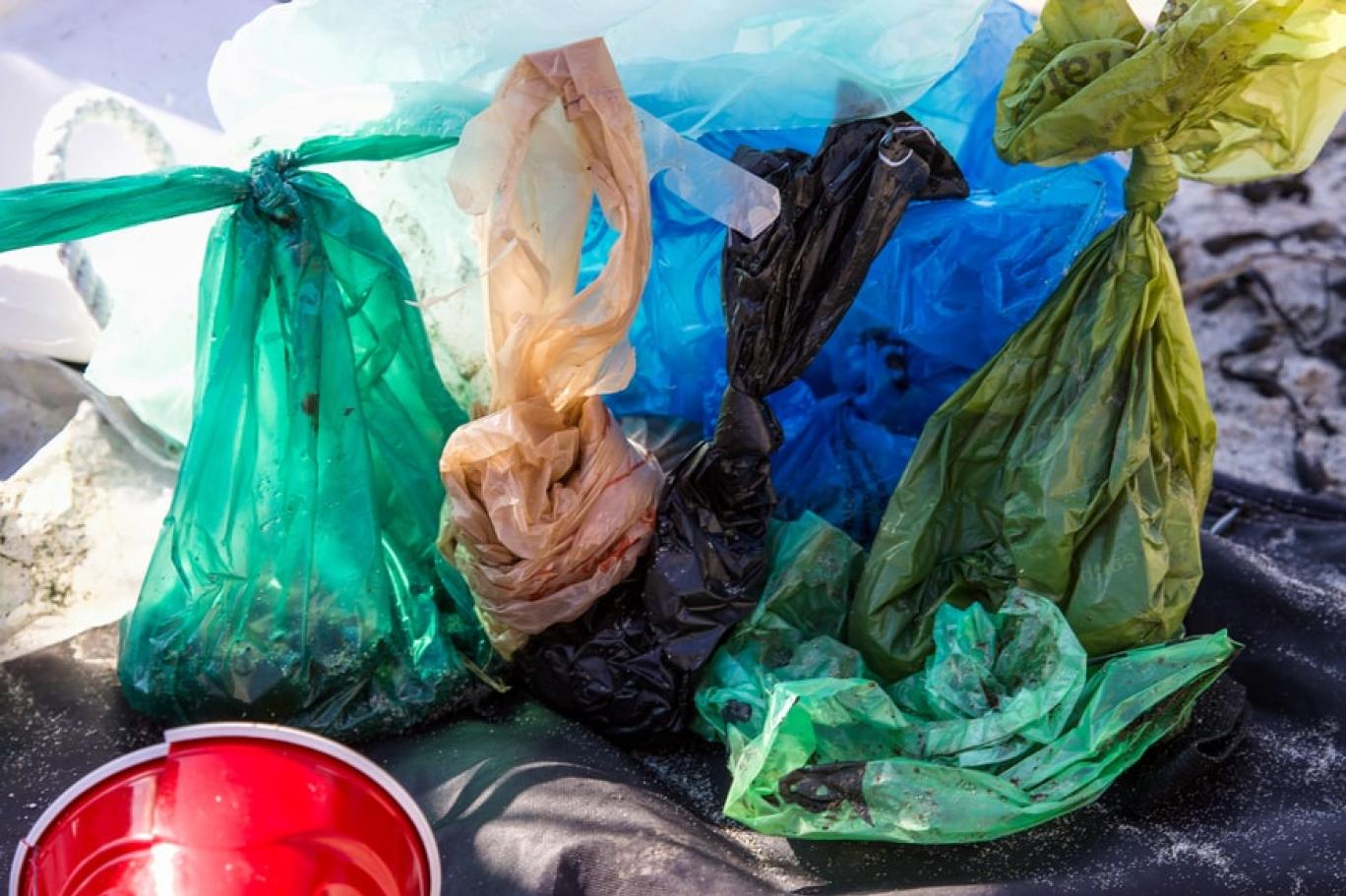 Bilim insanları, plastik poşet kullanımıyla paralı hale getirilmesi arasındaki ilişkiyi inceledi