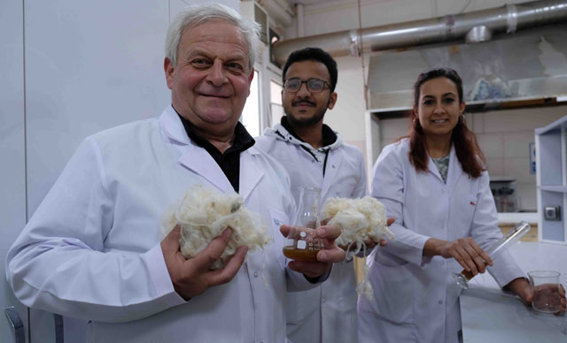 Koyun yününden keratin üretildi